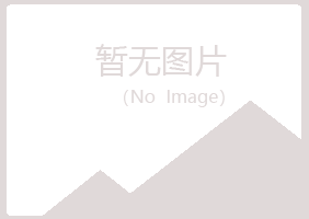 天长夏岚采矿有限公司